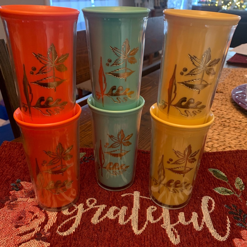 Vintage (60s) Sta-Cold Insulated Plastic Tumbler Set (6) with gold leaf design